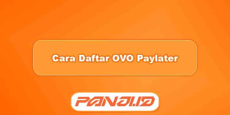 Cara Daftar OVO Paylater